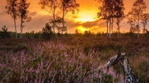 С добрым августовским утром!