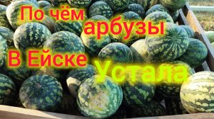 Ейск🍒/Володя пошёл в поликлинику/Очень УСТАЛА/Вкусный ГИРОС/Опять МЕДУЗЫ/Почём АРБУЗЫ в Ейске