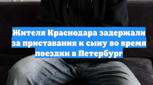 Жителя Краснодара задержали за приставания к сыну во время поездки в Петербург