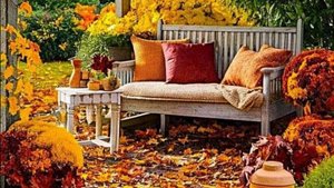 Открытки добрый вечер и спокойной ночи - Пожелание доброго вечера бесплатно