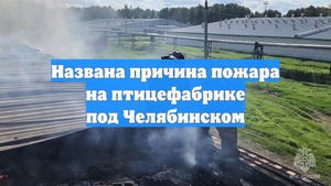 Названа причина пожара на птицефабрике под Челябинском