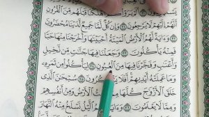 Урок 7 - Учим ＂ЯСИН＂ (по пять строчек) ／ 36-я сура Корана