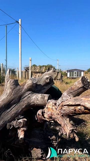 ПроРиелт смотреть онлайн