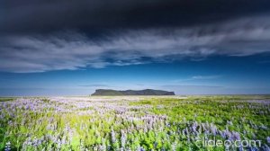 Аффирмации для Здоровья: Ваш Путь к Исцелению