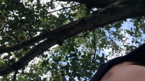 Форсакен в реальной жизни 4