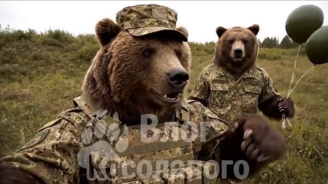 Влог Косолапого  11