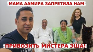 Почему мама Аамира запретила привозить нашего Кота? Первая поездка Мистера Эша!