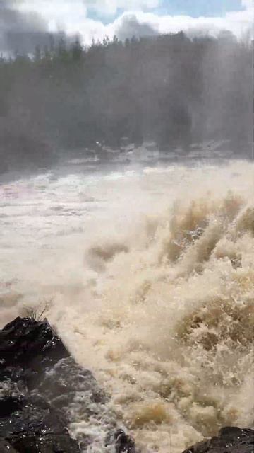 #карелия #весна #гирвас #shorts смотреть онлайн