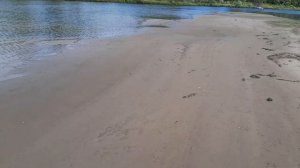 Прогулка. Прибрежный. Самарская область.