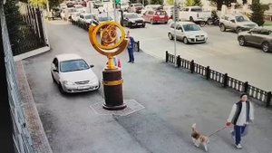 Это Пермь "Высадил свою королеву"