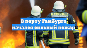 В порту Гамбурга начался сильный пожар