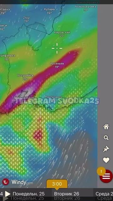 Во Владивостоке объявлено штормовое предупреждение на 26 августа — ожидаются сильные дожди смотреть онлайн