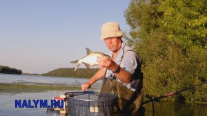 Ноттингем и болонская классика (Ока под Рязанью, июль 2018)