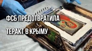 В Крыму задержали женщину, которая пыталась взорвать ФСБ. Взрывчатку она спрятала в иконе