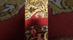 Машинки из вселенной тачки, играем, гонка