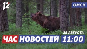 Медведь напал на человека / Косули выбегают на магистраль / Летний финал. Новости Омска