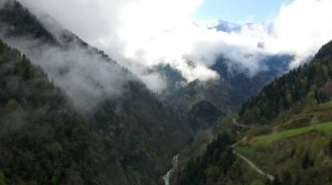 Greensleeves. (Зелёные рукава)