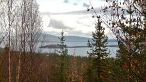 Архив. Сборный за 2020 год. Север. Не коротко.