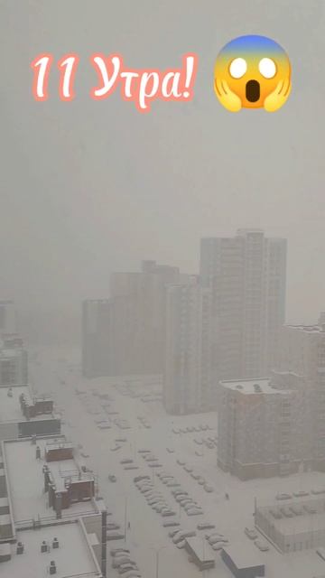 Снегопад #карелия #зима #снегопад #shorts смотреть онлайн