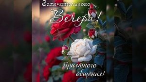 Добрый вечер♥️ Приятного отдыха 🌝♥️