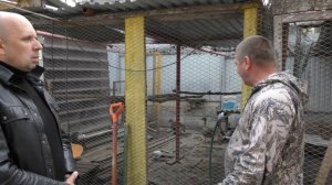 Гуси , утки, фазаны.\\ Охотничье Хозяйство Сергея Юрьевича Мосина.