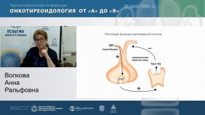 Лекция: «Онкотиреоидология – единство и борьба противоположностей. Взгляд эндокринолога»