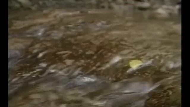 vodopad смотреть онлайн