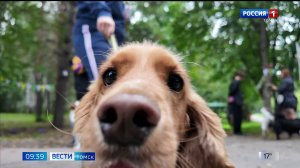 Вести-Томск, выпуск от 25.08.2025 09:30