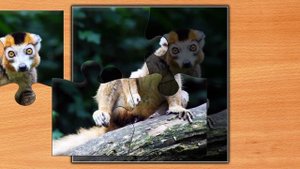 Jigsaw Puzzle Epic 129 Серия Игра 2025