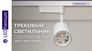 Трековый светодиодный светильник Track-62 (220V, белый корпус, 30W, однофазный)
