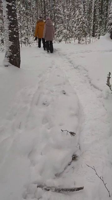 #карелия #зима #отдых #snow смотреть онлайн