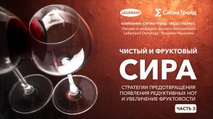 🍷🍇Чистый и фруктовый Сира. Часть 3