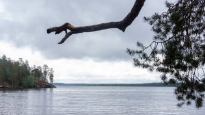 Седьмая заключительная серия. Путешествие на север Лето 2025.