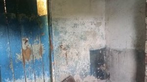 продолжение ремонта птичника,коровы