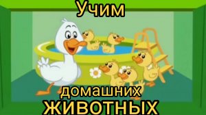 УЧИМ ДОМАШНИХ ЖИВОТНЫХ ВМЕСТЕ. Мультик для детей