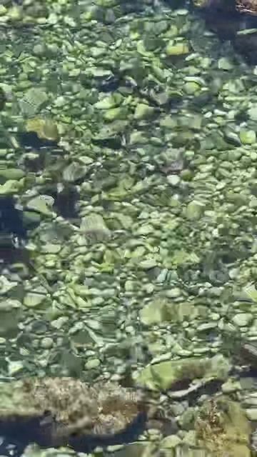 Счастье по-Владивостокски смотреть онлайн