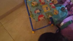 моя собака 😅