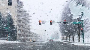 Снег с градом выпал в Санкт-Петербурге в конце августа