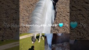 заставочка🤍