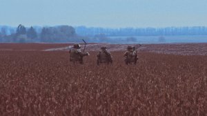 حيث لا مكان للخطأ