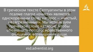 26 августа 2025  «Помилуй меня, Боже». Под сенью благодати _ Адвентисты