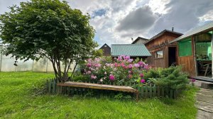 Дача 30 кв.м. Лязгино, СТ Солнечный, 50