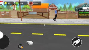 Farm supermarket simulator