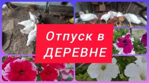 ОТПУСК В КАЗАХСТАНЕ. НАВЕЛИ ЧИСТОТУ И КРАСОТУ КУРОЧКАМ