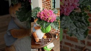 🐇❤️КНН-Крокус. Настоящие Колокольчики красивого чистого цвета и ЕК-Нарядный Париж (в видео ошибка🤪