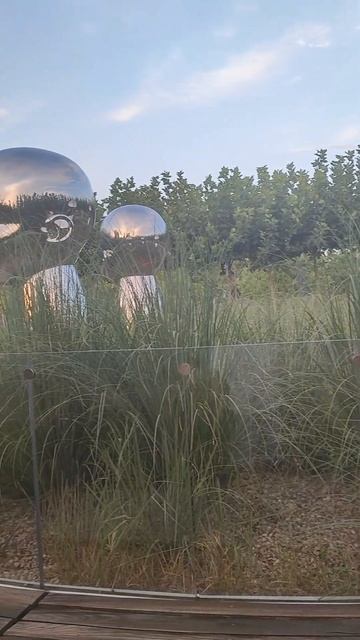 #краснодар #красота #парк #shorts смотреть онлайн