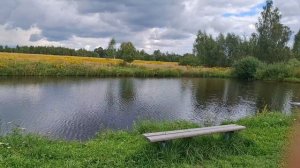 Туманным утром провожаем гостей. Град. Зачем мне это надо)))