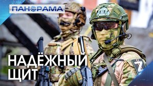 Девять населённых пунктов освобождены за неделю! Как «Купол Донбасса» отражает атаки дронов?