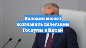 Володин может возглавить делегацию Госдумы в Китай