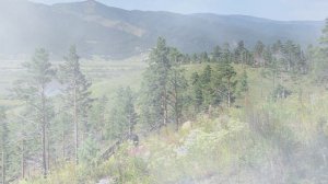 Футаж. Летний пейзаж 28